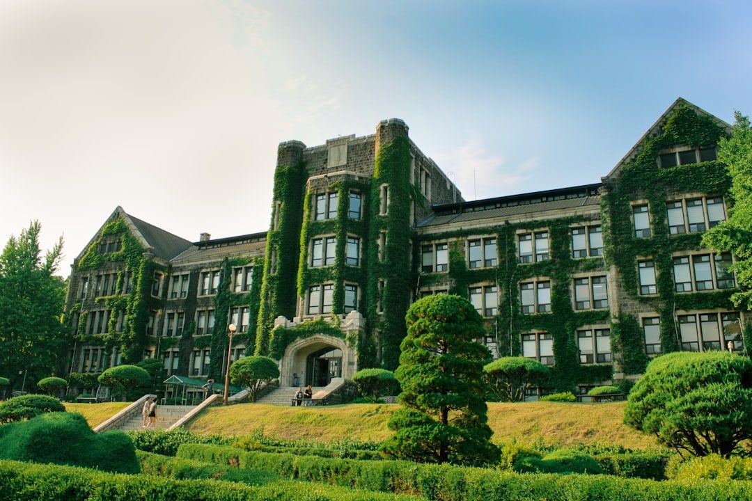 목동미술학원 참고 이미지 2